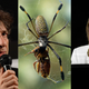 Neil Gaiman, left, and Brandi Carlile, right, look upon their newest family member.
